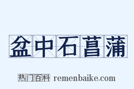 盆中石菖蒲是什么意思的图片